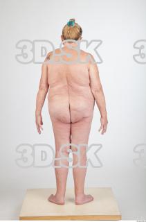 Body texture of Shelia 0017